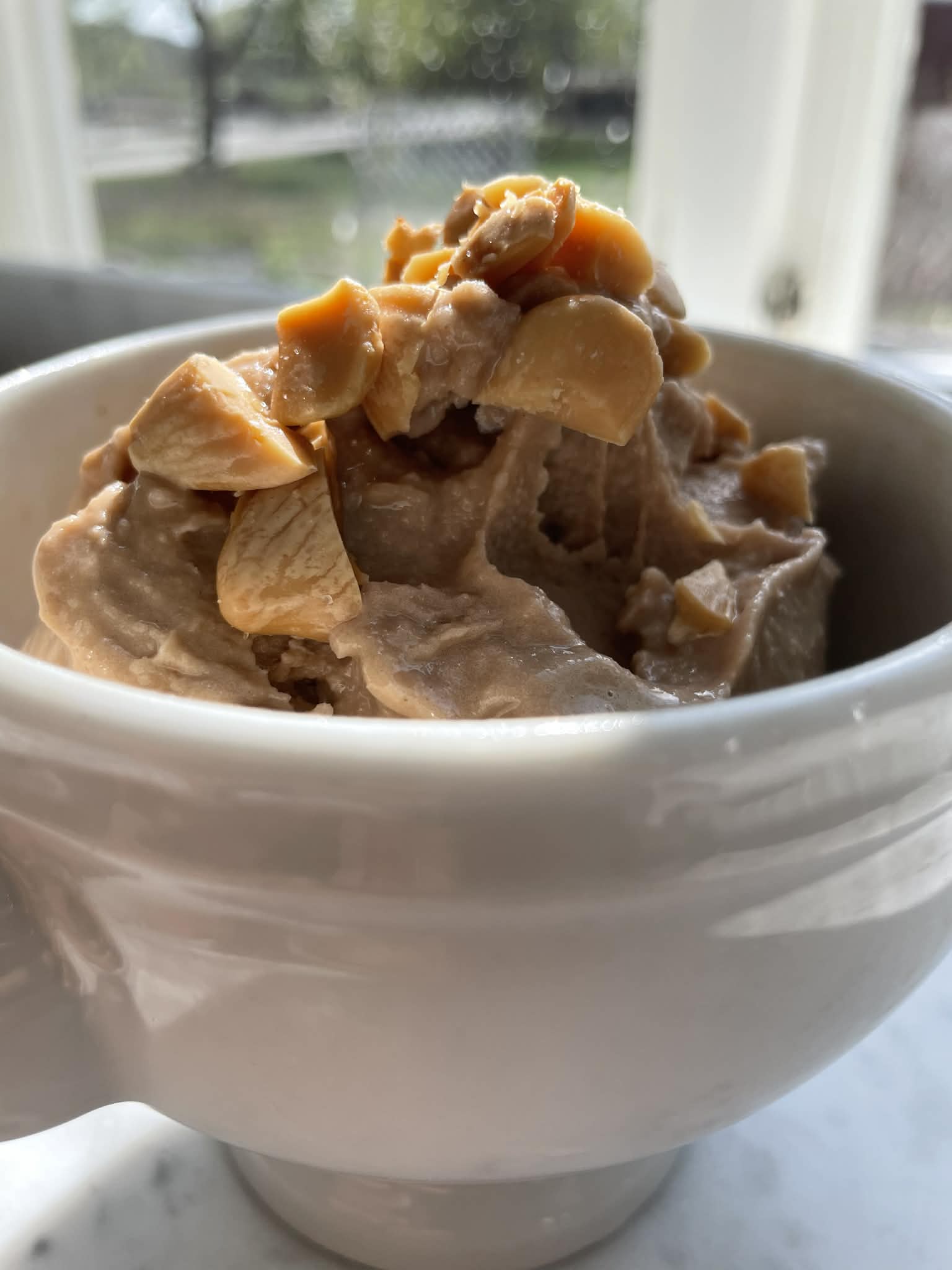 Hazelnut Almond Chocolate Protein Ice Cream