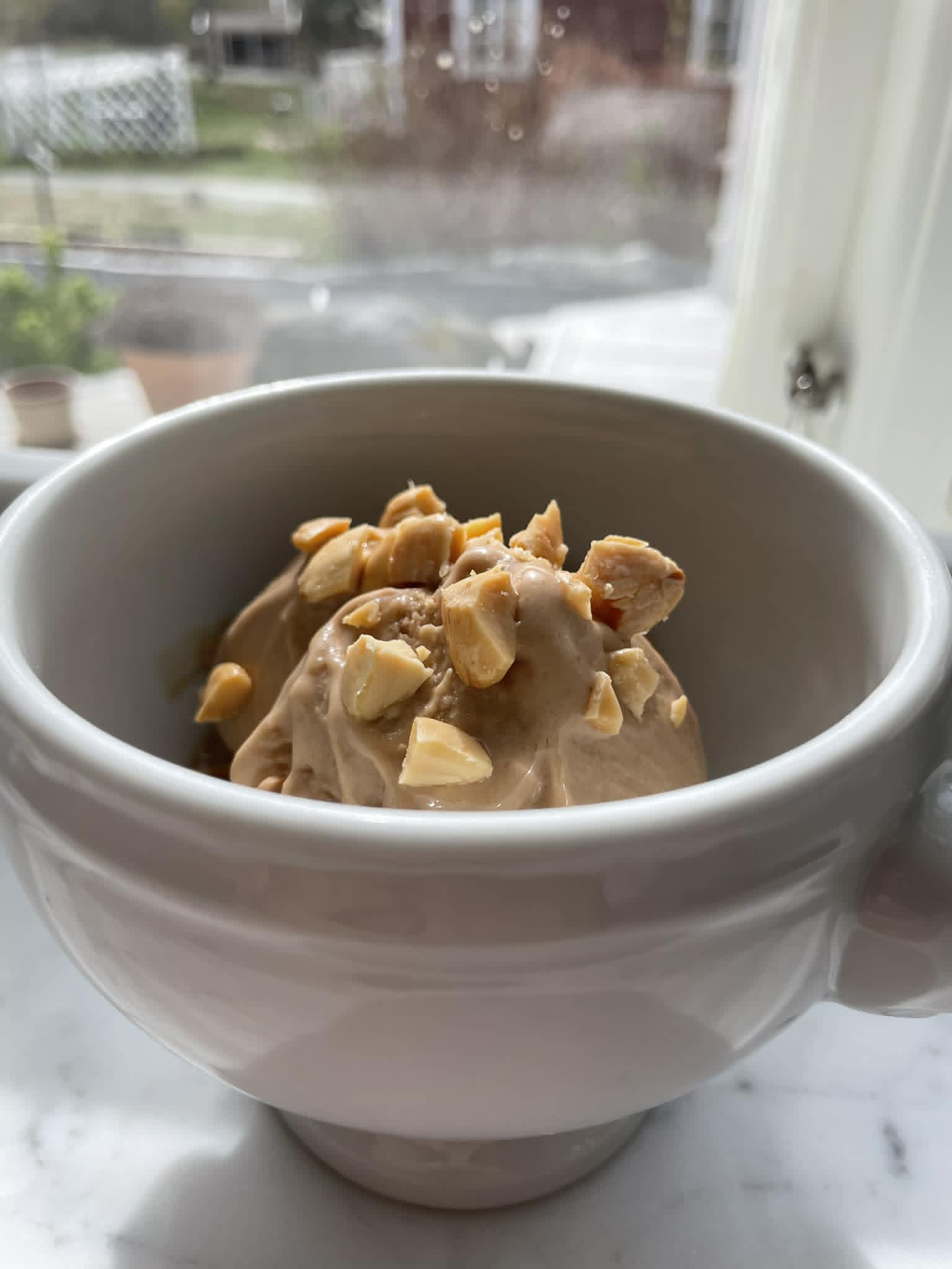 Hazelnut Almond Espresso Protein Ice Cream